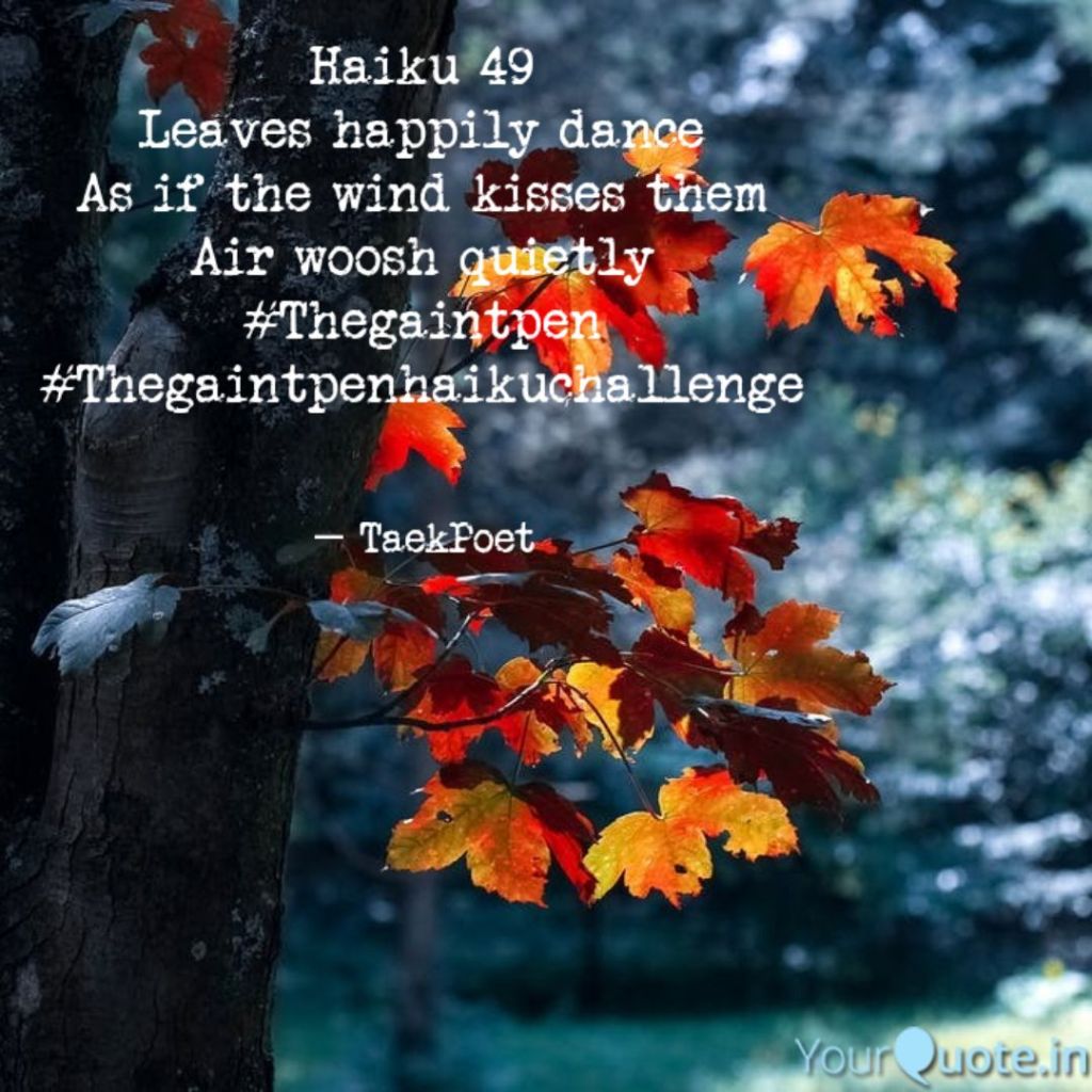 Haiku 49 by TaekPoet